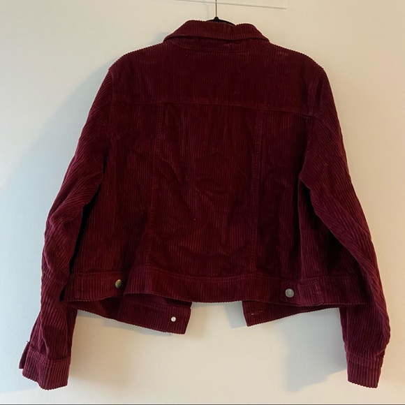 Corduroy Jacket Burgundy 1X - Picture 4 of 6